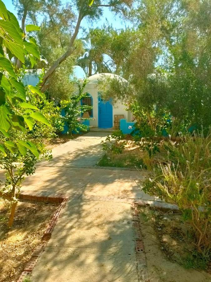 Panta Lodge Siwa Siwa Oasis Kültér fotó